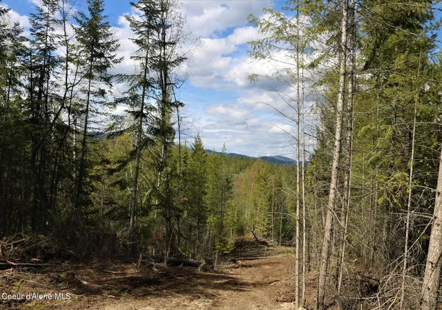 2nd image of 500 Outlook Dr, Cocolalla, ID 83813 | MLS# 26-5799