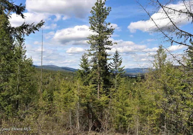 4th image of 500 Outlook Dr, Cocolalla, ID 83813 | MLS# 26-5799