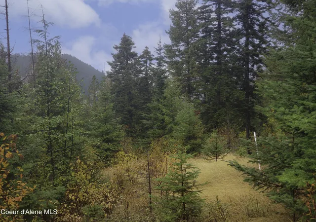 Homes for sale in Sandpoint, ID | Nka White Cloud Dr, Sandpoint, ID 83864 | MLS# 26-5808