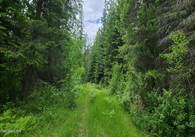 2nd image of Nna W Gold Creek Ridge Rd, Sandpoint, ID 83864 | MLS# 26-5846