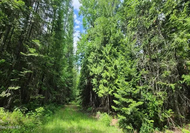 Photo 3 of Land for sale at Nna W Gold Crk Ridge Rd, Sandpoint, ID 83864 | MLS# 26-5846 | Listing updated on 2026-06-08