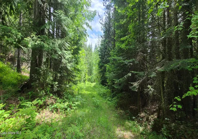 Photo 3 of Land for sale at Nna W Gold Crk Ridge Rd, Sandpoint, ID 83864 | MLS# 26-5846 | Listing updated on 2026-06-08
