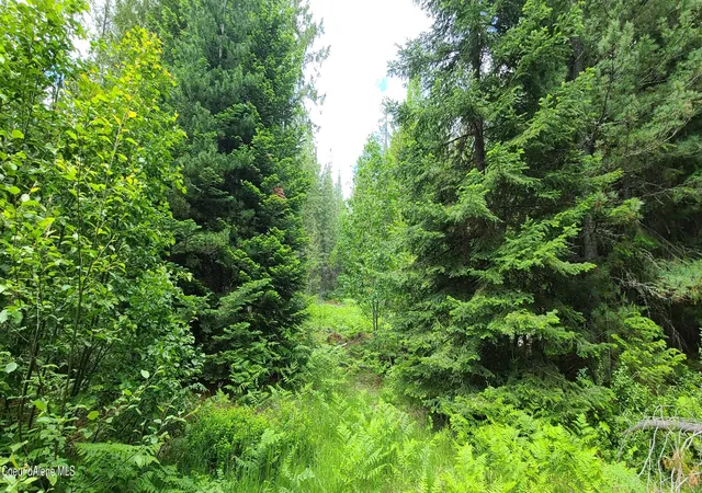 Photo 4 of Land for sale at Nna W Gold Crk Ridge Rd, Sandpoint, ID 83864 | MLS# 26-5846 | Listing updated on 2026-06-08