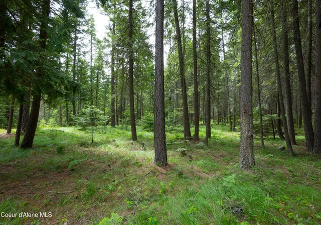 Photo 3 of Single family home for sale at 3228 Kootenai Trl Rd, Bonners Ferry, ID 83805 | MLS# 26-5862 | Listing updated on 2026-06-12