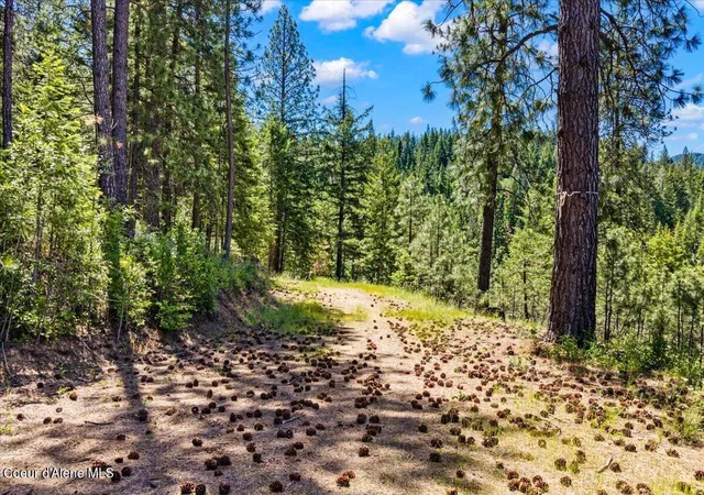 5th image of 121 S Idaho Rd, Post Falls, ID 83854 | MLS# 26-6292