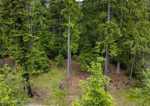 46th image of Nna Bruin Rd, Nordman, ID 83848 | MLS# 26-5899