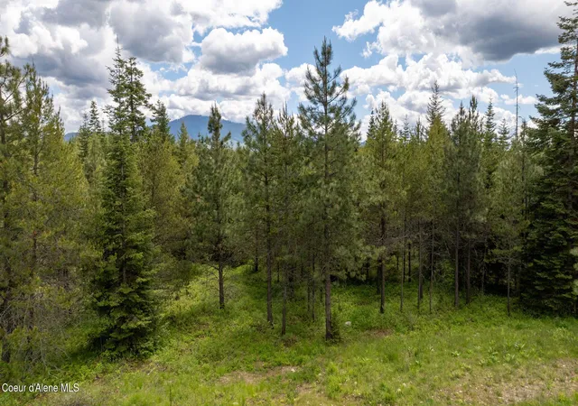 32nd image of 8917 E Riley Loop, Athol, ID 83801 | MLS# 26-5986