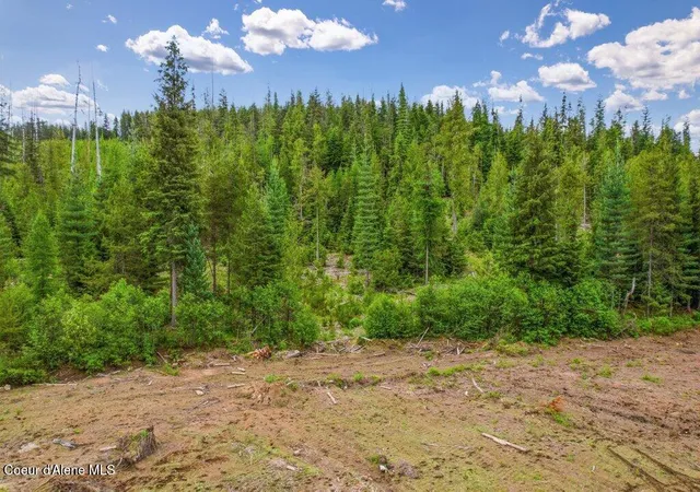 20th image of Nka Cooper Lane Lot 1b, Nordman, ID 83848 | MLS# 26-5947