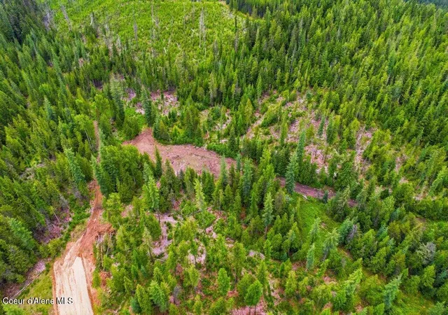 4th image of Nka Cooper Lane Lot 1C, Nordman, ID 83848 | MLS# 26-5948