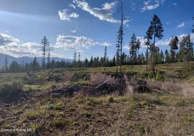 Homes for sale in Bonners Ferry, ID | Nna This Way Rd Lot 1 (10 Acres), Bonners Ferry, ID 83805 | MLS# 26-5953