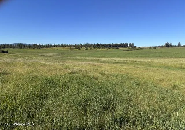 Homes for sale in Harrison, ID | E Van Dusen Rd, Harrison, ID 83833 | MLS# 26-6068