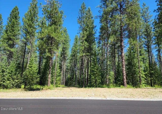 4th image of Nna Tj Trl, Athol, ID 83801 | MLS# 26-6060