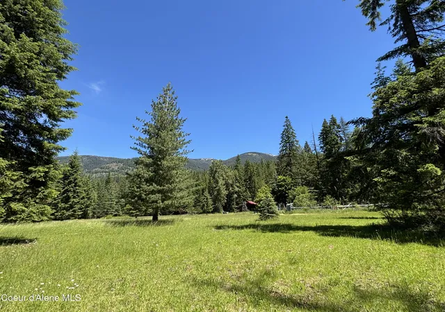 41st image of 2216 Mosquito Creek Rd, Clark Fork, ID 83811 | MLS# 26-6166