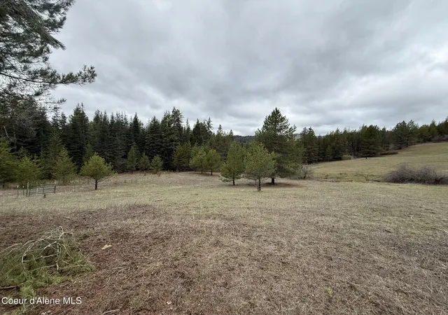Homes for sale in St. Maries, ID | Nka Owl Creek Ln, St. Maries, ID 83861 | MLS# 26-6124