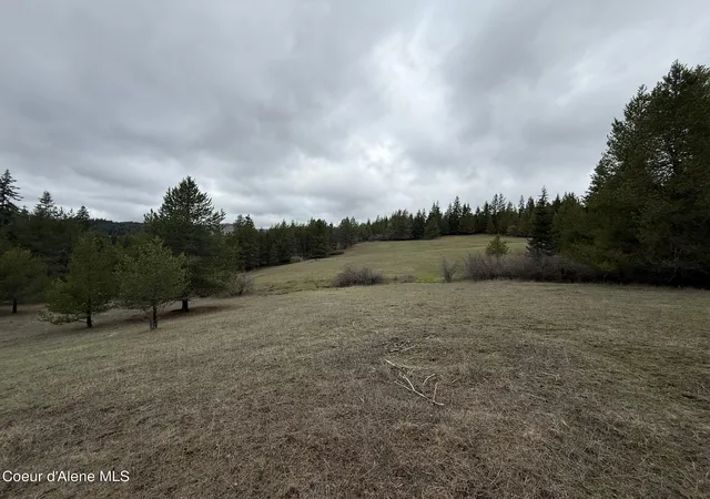 Homes for sale in St. Maries, ID | Nka Owl Creek Ln, St. Maries, ID 83861 | MLS# 26-6124