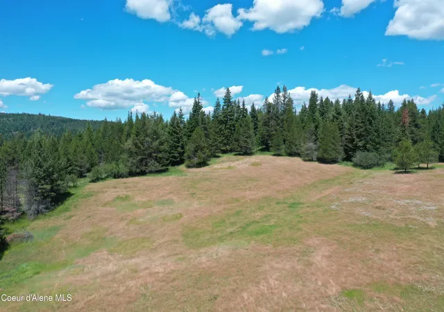 Homes for sale in St. Maries, ID | Nka Owl Creek Ln, St. Maries, ID 83861 | MLS# 26-6124