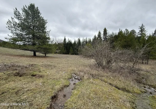 4th image of Nka Owl Creek Ln, St. Maries, ID 83861 | MLS# 26-6124