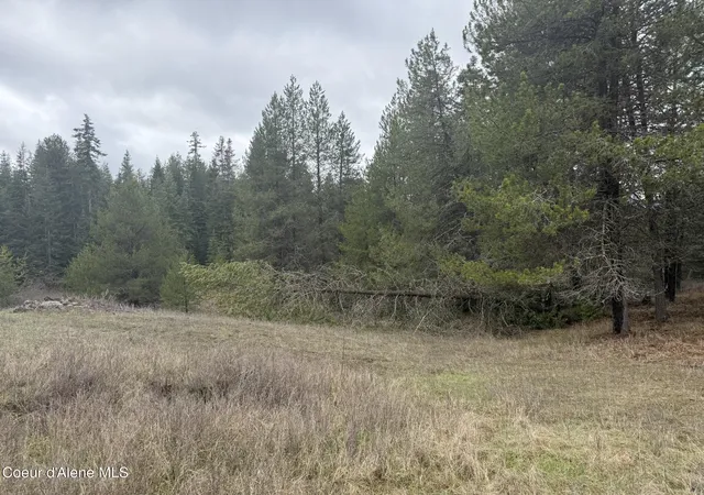 5th image of Nka Owl Creek Ln, St. Maries, ID 83861 | MLS# 26-6124