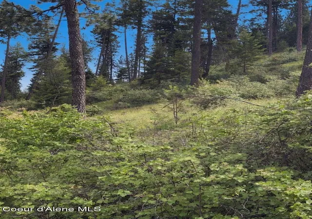 11th image of 18xxx W Granite Springs Dr, Post Falls, ID 83854 | MLS# 26-6128