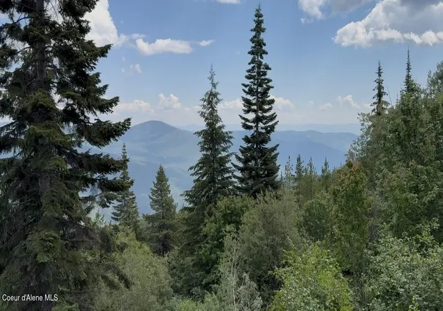 Photo 2 of Land for sale at 160acs Jeru Crk Rd 293, Sandpoint, ID 83864 | MLS# 26-6147 | Listing updated on 2026-06-15