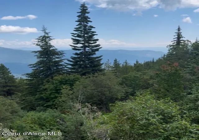 Photo 3 of Land for sale at 160acs Jeru Crk Rd 293, Sandpoint, ID 83864 | MLS# 26-6147 | Listing updated on 2026-06-15