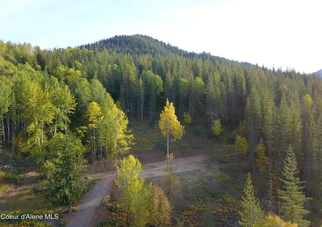 Homes for sale in Kellogg, ID | 928 Polaris Peak Rd Lot 2, Kellogg, ID 83837 | MLS# 26-6480