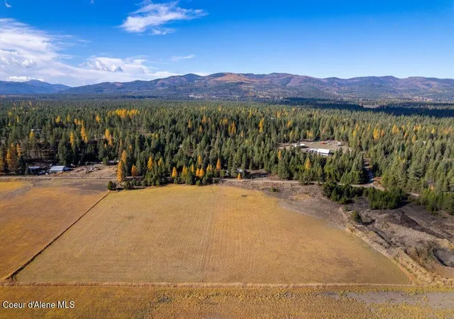 Homes for sale in Priest River, ID | 712 Nitty Gritty Ln, Priest River, ID 83856 | MLS# 26-6165