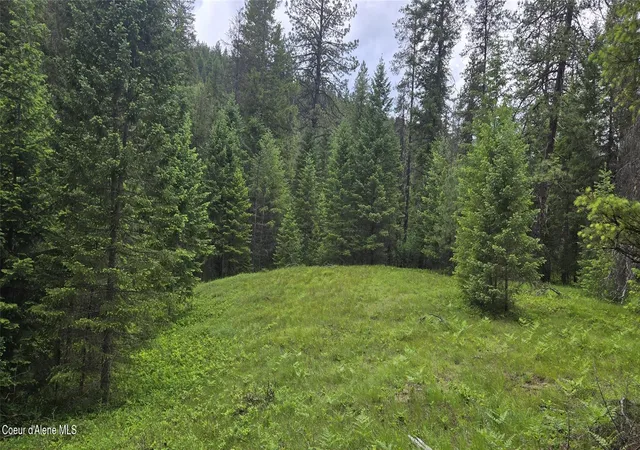 Homes for sale in Noxon, MT | Nhn Bull River Rd, Noxon, MT 59853 | MLS# 26-6161