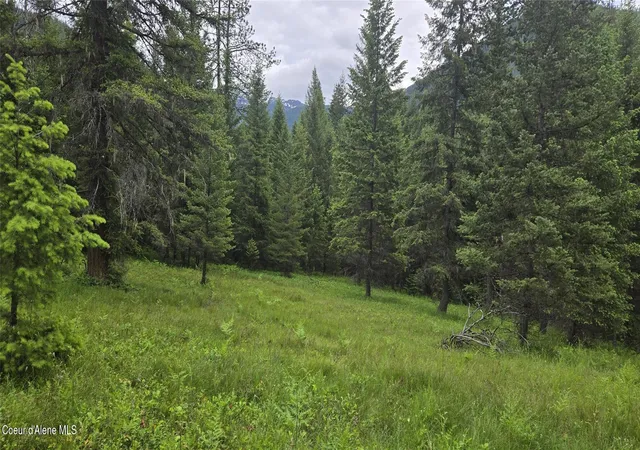 Homes for sale in Noxon, MT | Nhn Bull River Rd, Noxon, MT 59853 | MLS# 26-6161