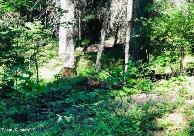 Photo 1 of Land for sale at (Undisclosed), Saint Maries, ID 83861 | MLS# 26-6208 | Listing updated on 2026-06-16