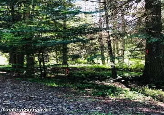 Photo 2 of Land for sale at (Undisclosed), Saint Maries, ID 83861 | MLS# 26-6208 | Listing updated on 2026-06-16