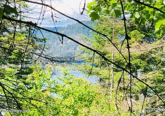 Photo 3 of Land for sale at (Undisclosed), Saint Maries, ID 83861 | MLS# 26-6208 | Listing updated on 2026-06-16
