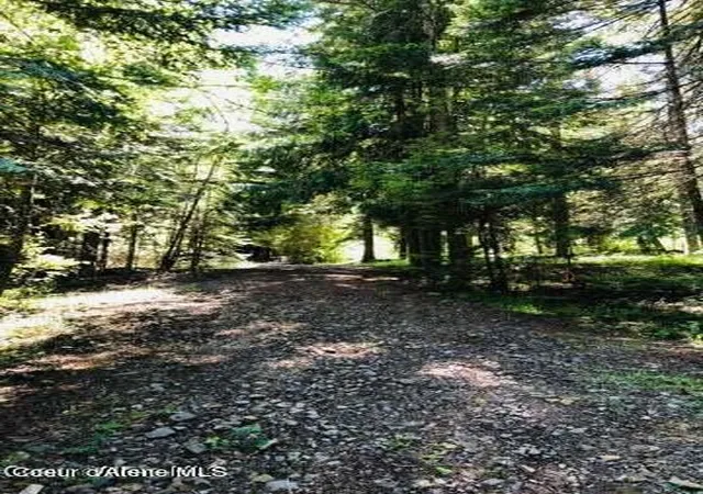 Photo 3 of Land for sale at (Undisclosed), Saint Maries, ID 83861 | MLS# 26-6208 | Listing updated on 2026-06-16