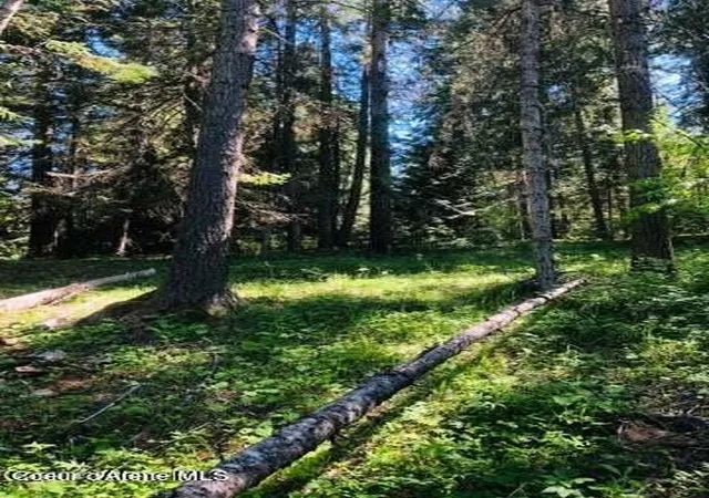Photo 4 of Land for sale at (Undisclosed), Saint Maries, ID 83861 | MLS# 26-6208 | Listing updated on 2026-06-16