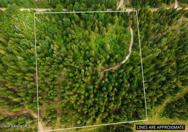 Homes for sale in Sandpoint, ID | Nka Cedar Springs Rd, Sandpoint, ID 83864 | MLS# 26-6218