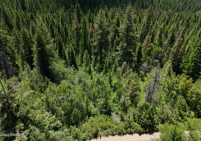 Homes for sale in Fernwood, ID | 2407 Crystal Peak Rd, Fernwood, ID 83830 | MLS# 26-6318