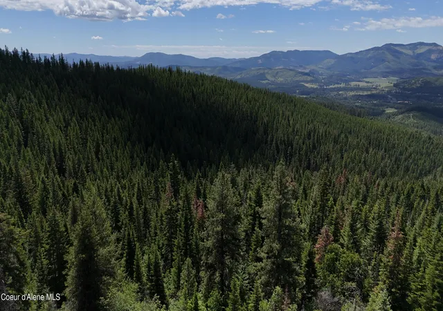 4th image of 2407 Crystal Peak Rd, Fernwood, ID 83830 | MLS# 26-6318