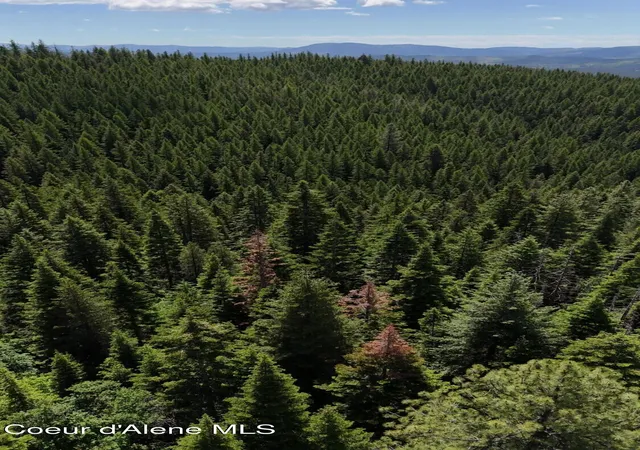 5th image of 2407 Crystal Peak Rd, Fernwood, ID 83830 | MLS# 26-6318