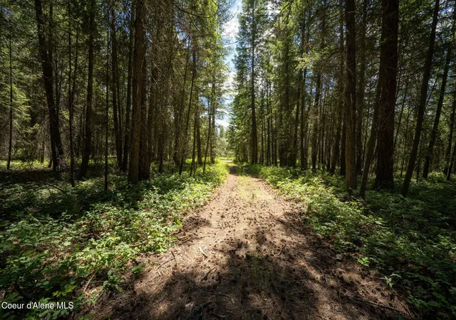 3rd image of 965 Trails End Rd, Athol, ID 83801 | MLS# 26-6353