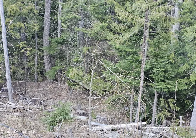 3rd image of Nka Alder Way, St. Maries, ID 83861 | MLS# 26-6349