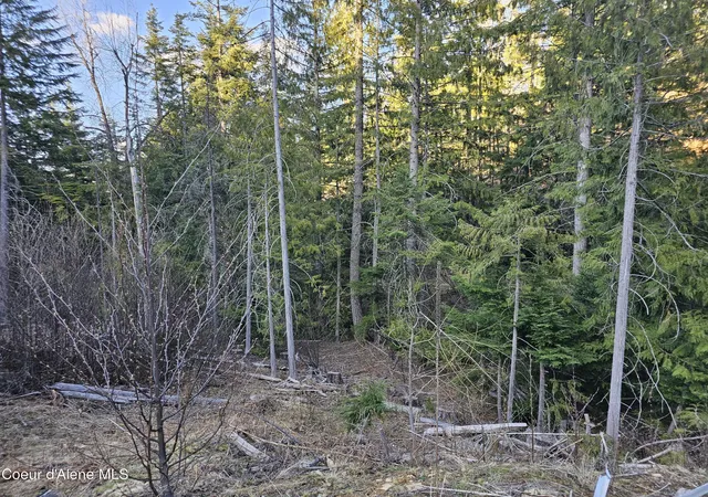 4th image of Nka Alder Way, St. Maries, ID 83861 | MLS# 26-6349