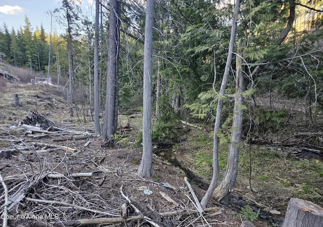 5th image of Nka Alder Way, St. Maries, ID 83861 | MLS# 26-6349
