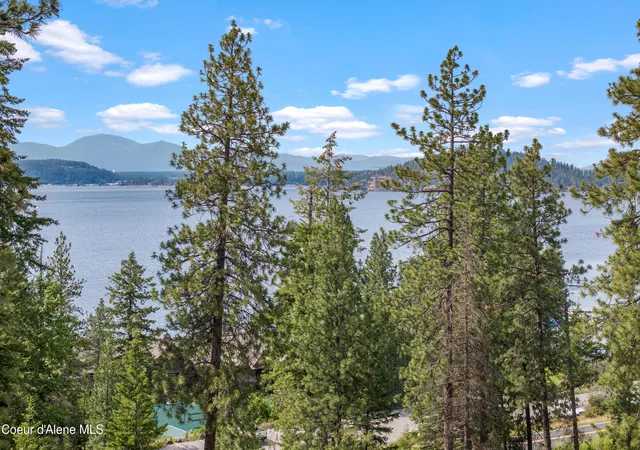 Homes for sale in Harrison, ID | Lot 3 Jackleg Trl, Harrison, ID 83833 | MLS# 26-6379