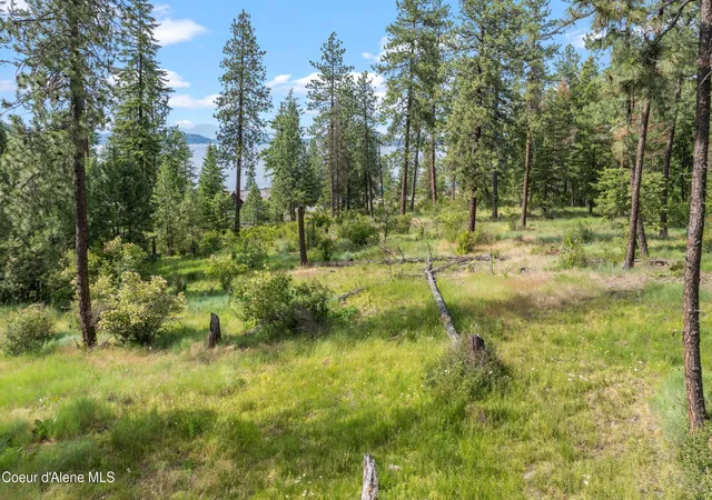 4th image of Lot 3 Jackleg Trl, Harrison, ID 83833 | MLS# 26-6379