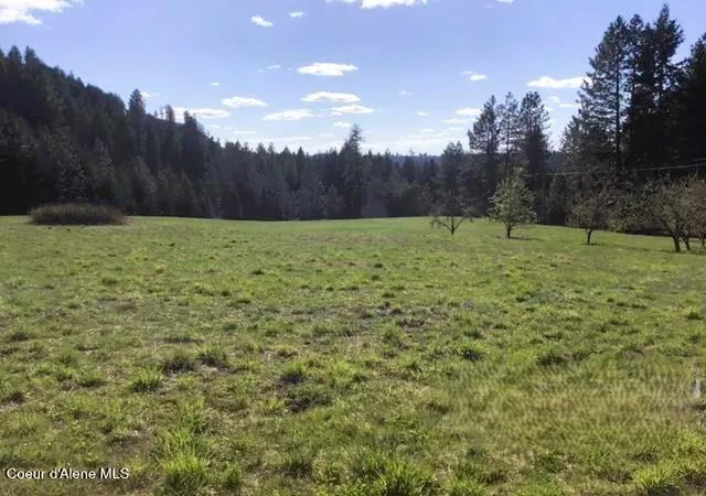 50th image of 266 Falcon Ridge Rd, Kooskia, ID 83539 | MLS# 26-6402