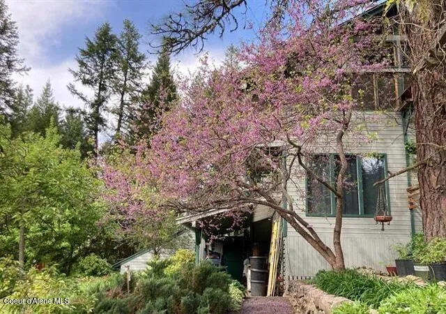 5th image of 266 Falcon Ridge Rd, Kooskia, ID 83539 | MLS# 26-6402