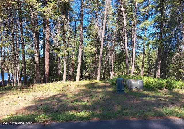 Photo 4 of Land for sale at Nna Hanaford Rd Blk 3 Lot 17, Blanchard, ID 83804 | MLS# 26-6465 | Listing updated on 2026-08-10