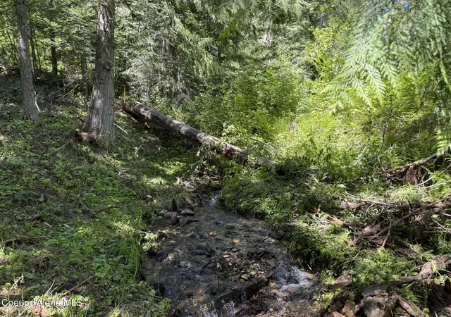 3rd image of 2259 Upriver View Dr, Fernwood, ID 83830 | MLS# 26-6443