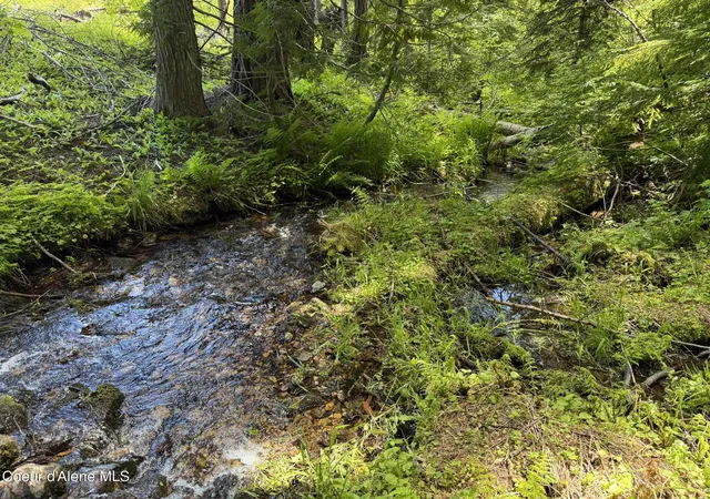 5th image of 2259 Upriver View Dr, Fernwood, ID 83830 | MLS# 26-6443