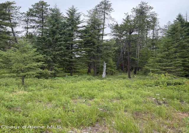 Homes for sale in Spirit Lake, ID | Nna Adams St, Spirit Lake, ID 83869 | MLS# 26-6619